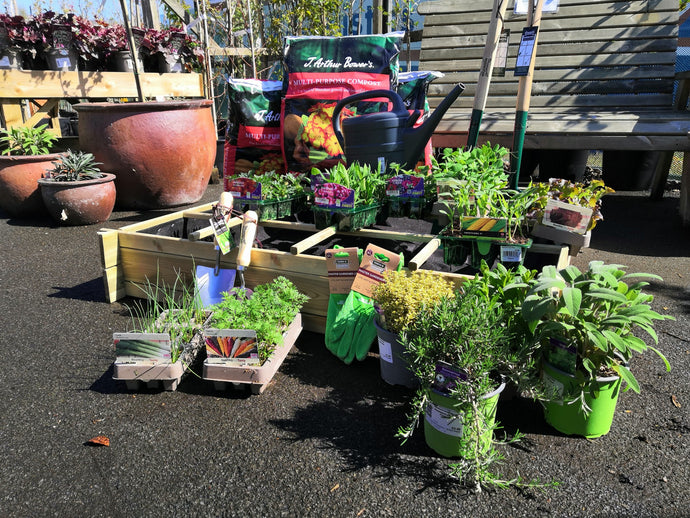 COMPETITION TIME! – WIN A GARDENING BUNDLE WORTH £150!