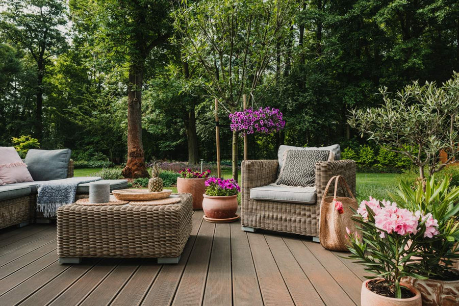 Looking After Your Lawns And More