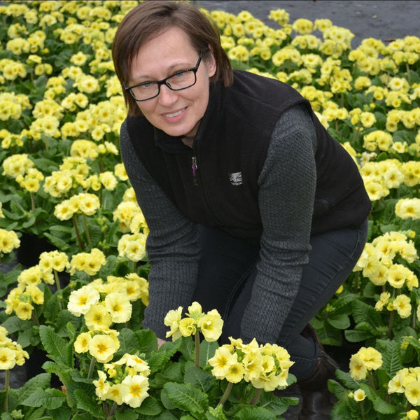 Getting your garden ready for spring!
